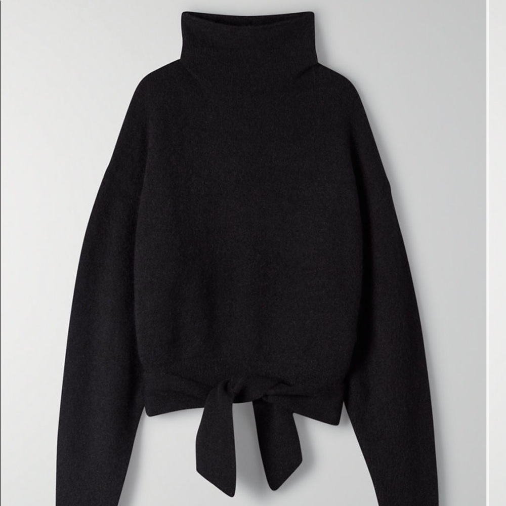 Aritzia Wilfred sweater